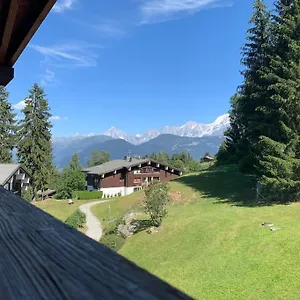  Appartement Le Daim 6 Pers Vue Mont-blanc